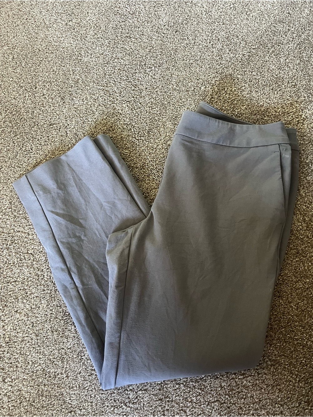 Ann Taylor Pants